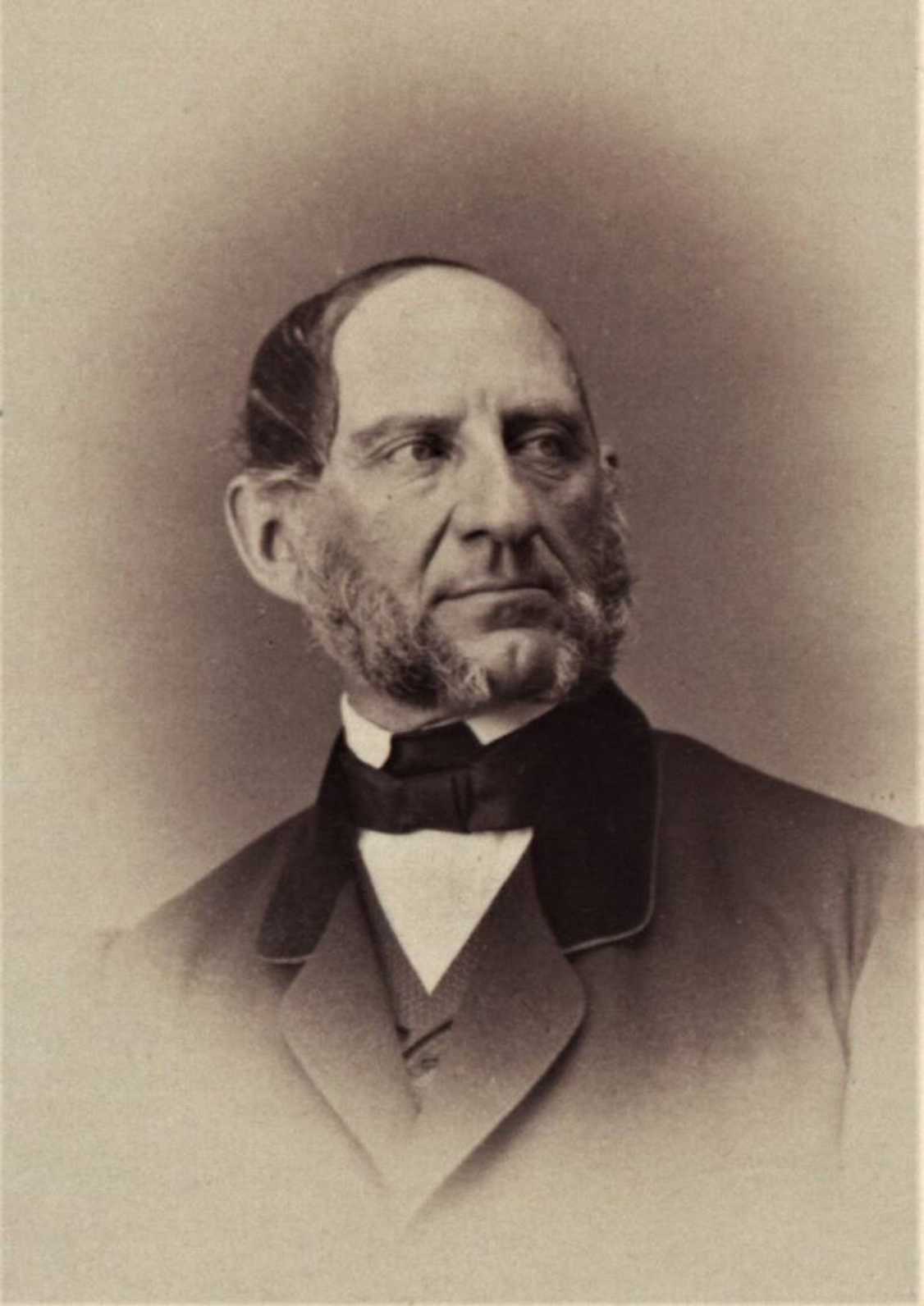Státní ministr 1860–1865, označovaný Němci za „otce ústavy“.