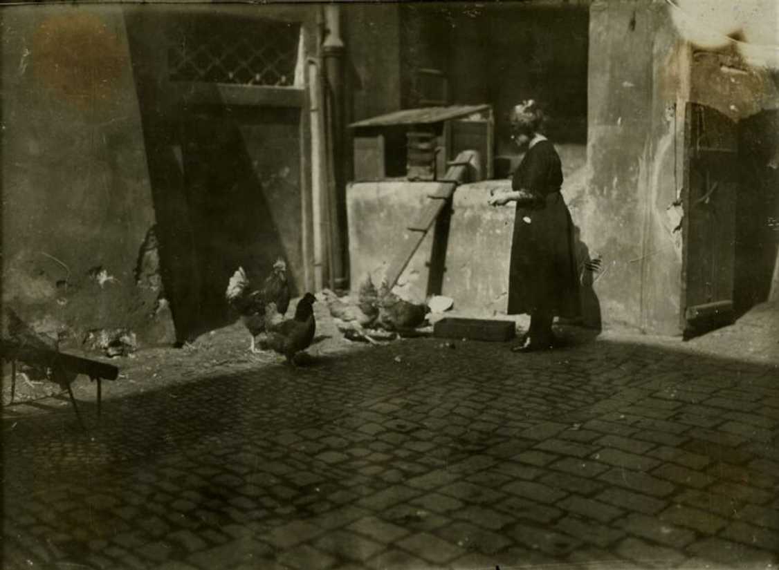 Idyla ve staré sněmovně (1920)
